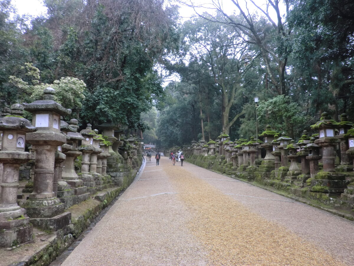 Stone lanterns of Kasuga Taisha in Nara, Japan