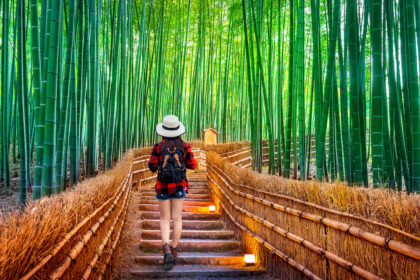 Arashiyama, Kyoto | Mysterious and beautiful bamboo forest