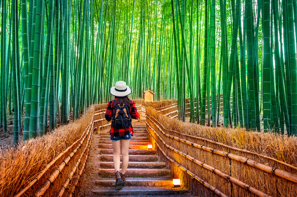 Woman walking in the bamboo grove in Arashiyama, Kyoto, Japan