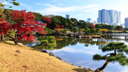 The Hamarikyu Gardens, Tokyo | A beautiful garden with changing scenery