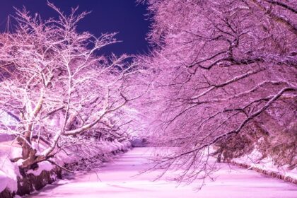 Hirosaki City, Aomori | A town that lives together with beautiful nature in every season