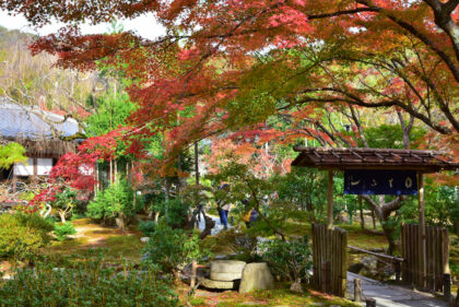 Ryoanji Temple,Kyoto | Beautiful stone garden and a temple where a dragon sleeps