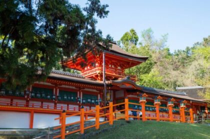 Kasuga Taisha, Nara | Shiny shrine pavilion and beautiful wisteria flowers