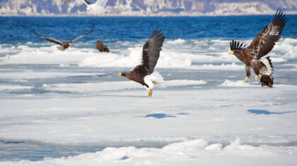 Shiretoko and Abashiri, Hokkaido | Nature that can only be experienced in the farthest reaches of the earth