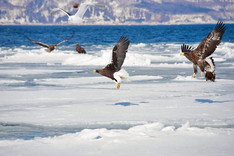 Rausu, Shiretoko, Hokkaido