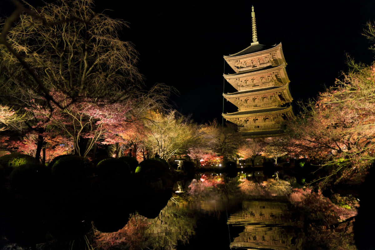 Autumn leaves in fall season Kyoto, Japan