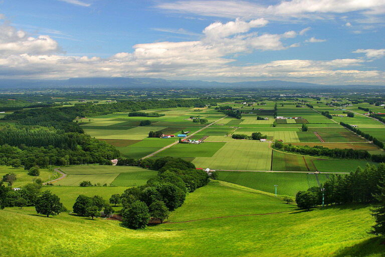 Fields in Tokachi, Hokkaido, Japan