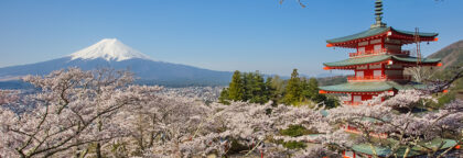 Beautiful Flowers of Japanese Spring