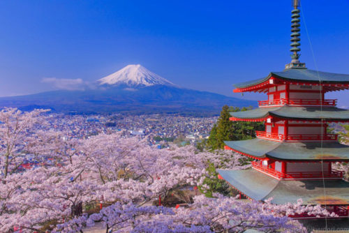 Mt Fuji and Chureito Pagoda with cherry blossoms in spring in Kawaguchiko, Japan