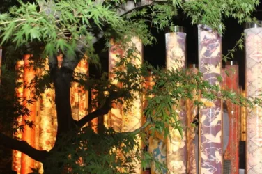 kimono forest kyoto | Japan City Tour | Travel agency in Tokyo Kimono Forest in Arashiyama, Kyoto, Japan