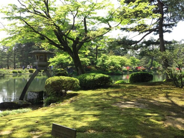 Green in the Kenrokuen garden in Kanazawa, Japan