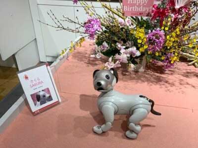 aibo Ginza