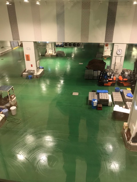 View of the tuna aucion floor in the Toyosu fish market in Tokyo, Japan