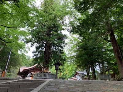 shinto_008 | Japan City Tour | Travel agency in Tokyo shinto shrine in japan