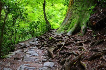 Mt Takao | Easy Hiking Near Tokyo