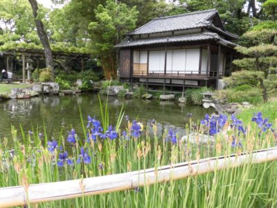 Tenshaen Garden, Uwajima, Ehime, Shikoku, Japan