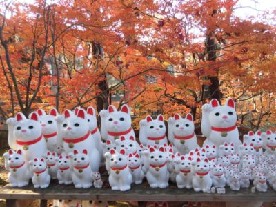 Manekineko cat statues in Gotokuji Temple in Tokyo, Japan