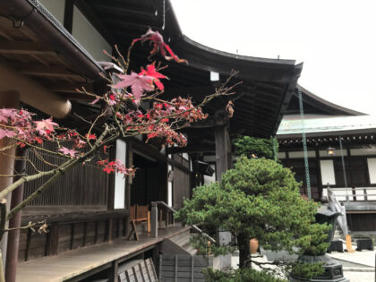 Kamakura | A town surrounded by historical shrines and temples and beautiful nature