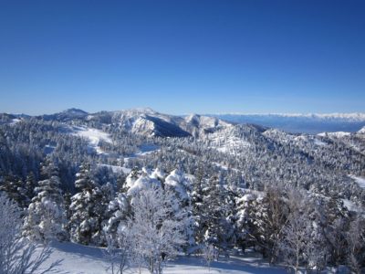 Snowy mountains in Shiga Kogen winter sports area in Nagano, Japan