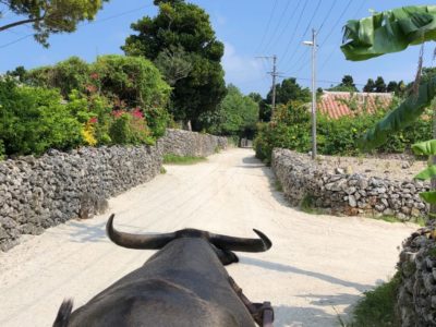 Taketomijima okinawa prefecture