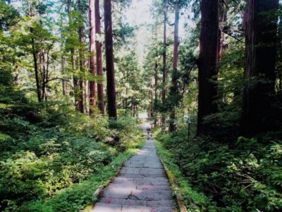 Trail of the Dewa Sanzan in Yamagata, Japan, famous for asceticism