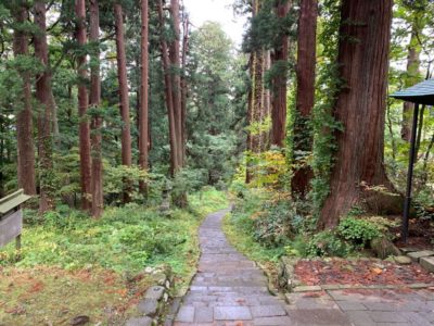 Trail on Dewa Sanzan in Yamagata, Japan
