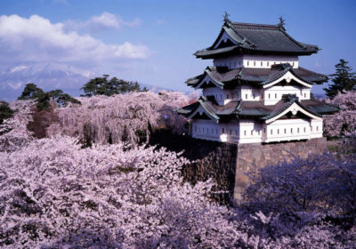 Hirosaki Castle with cherry blossoms, Aomori