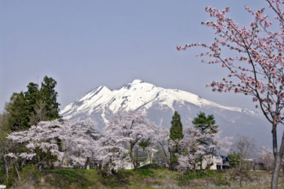 Mount Iwaki with cherry blossoms in Aomori city, Japan