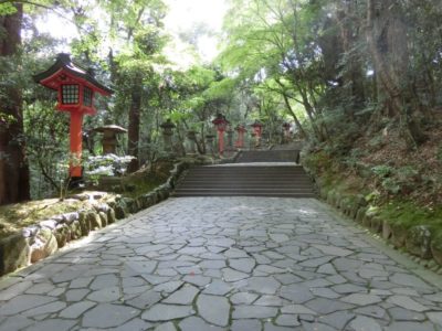 Usa Jingu Shrine travel guide