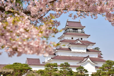 Aizuwakamatsu Castle (or Tsuruga-jo Castle) in Fukushima, Japan with cherry blossoms