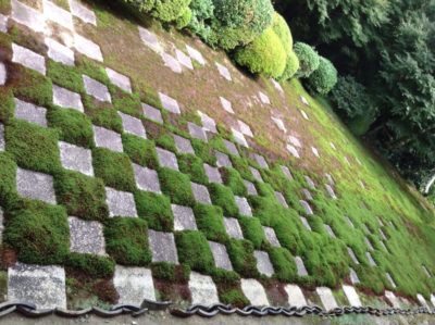 Tofukuji Temple, Kyoto | Beautiful Flowers and Gardens