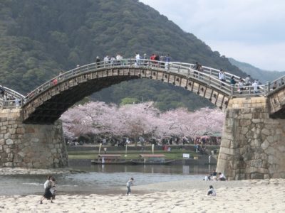 Spring blossoms at the Kintaikyo bridge in Yamaguchi, Japan