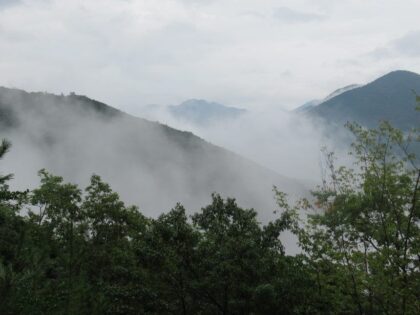 Kumano Kodo | Walkable and beautiful world heritage