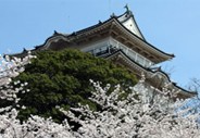 Odawara castle in spring, Japan