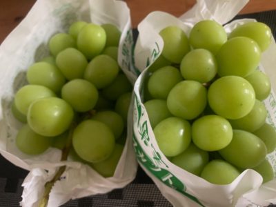 Shine muscat high quality grapes from Japan