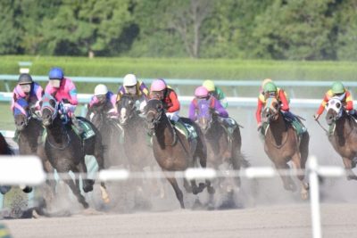 A group of horses racing in Japan, one of the accepted forms of gambling