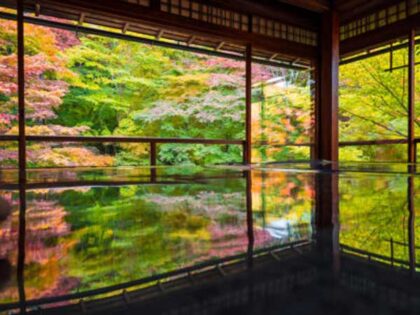 Very beautiful and Traditional Japanese Architecture in Kyoto