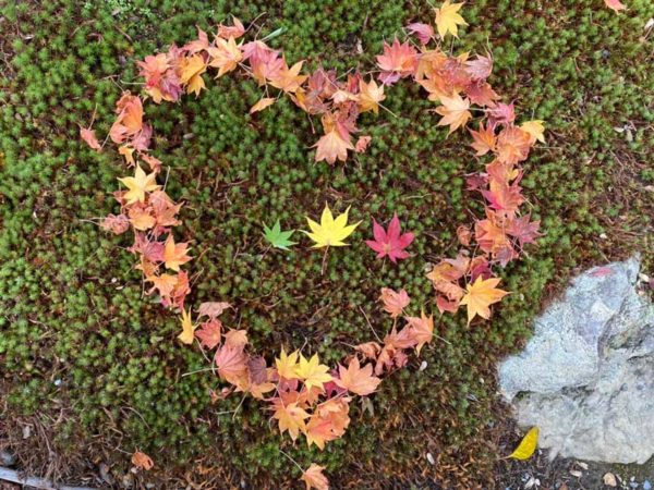 autumn leaves in a heart-shape decoration