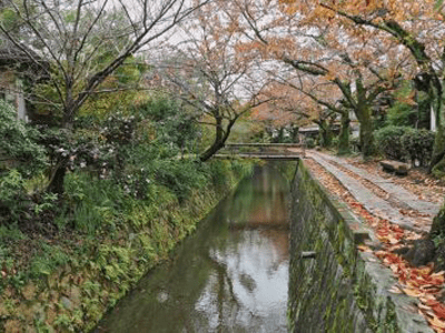 kyoto autumn Japan