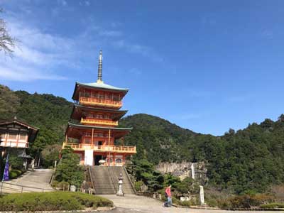 nachi_taisha Japan City Tour