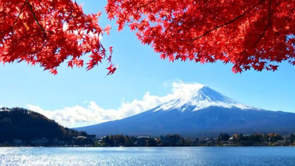 Mt Fuji Autumn