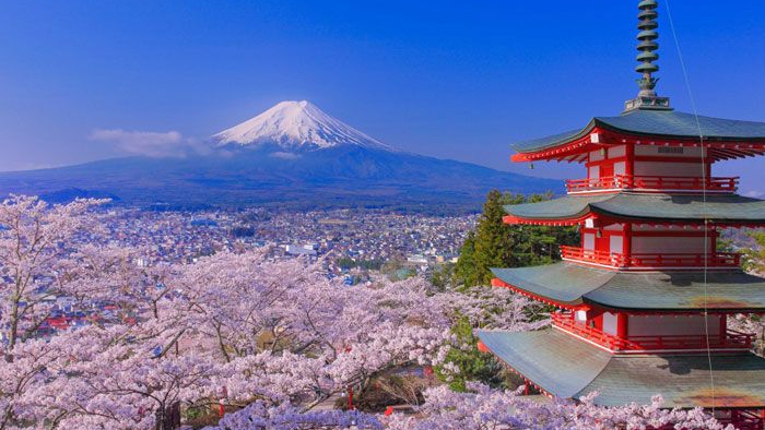 Spring in Tokyo: See Why it's the Most Beautiful Season