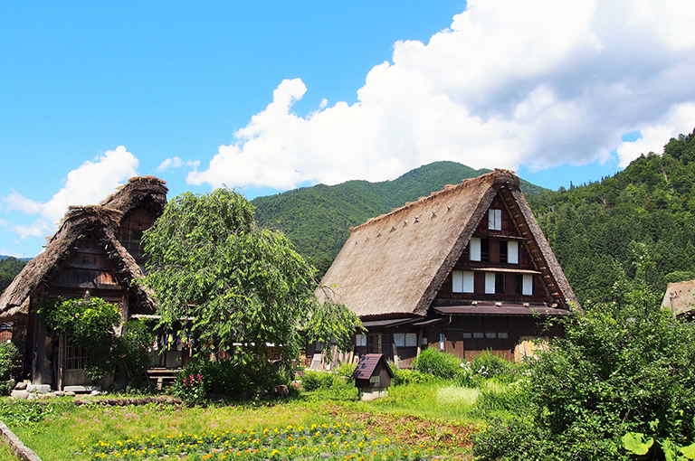 Shirakawago