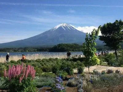 mt-fuji-kawaguchiko-may 2 1 1 | Japan City Tour | Travel agency in Tokyo