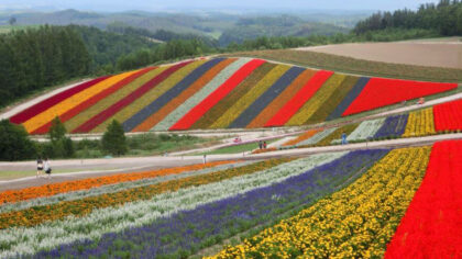 Furano and Biei, Hokkaido | Beautiful rural scenery