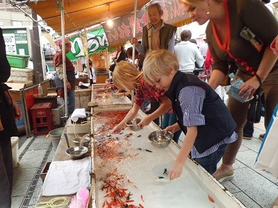 Goldfish scooping game at Kawagoe Matsuri in Japan