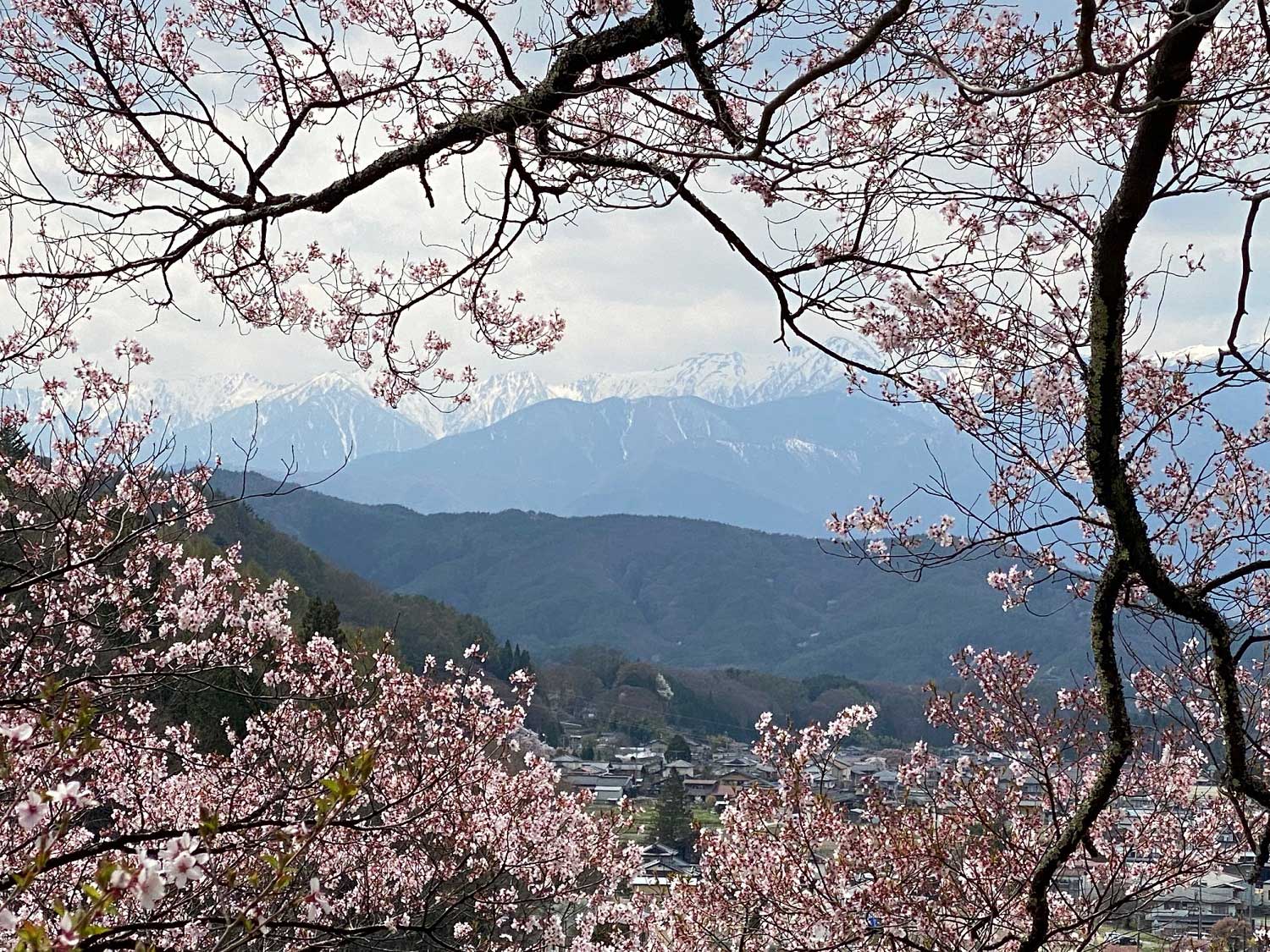 View in spring in Takato Joshi Park in Nagano, Japan