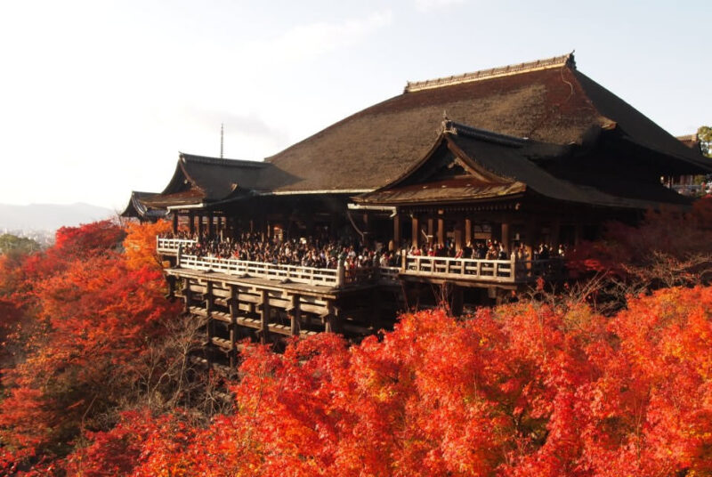 kiyomizu temple autumn