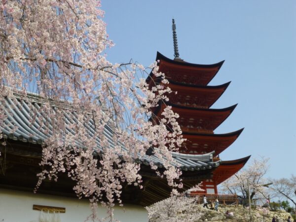 Miyajima Tour