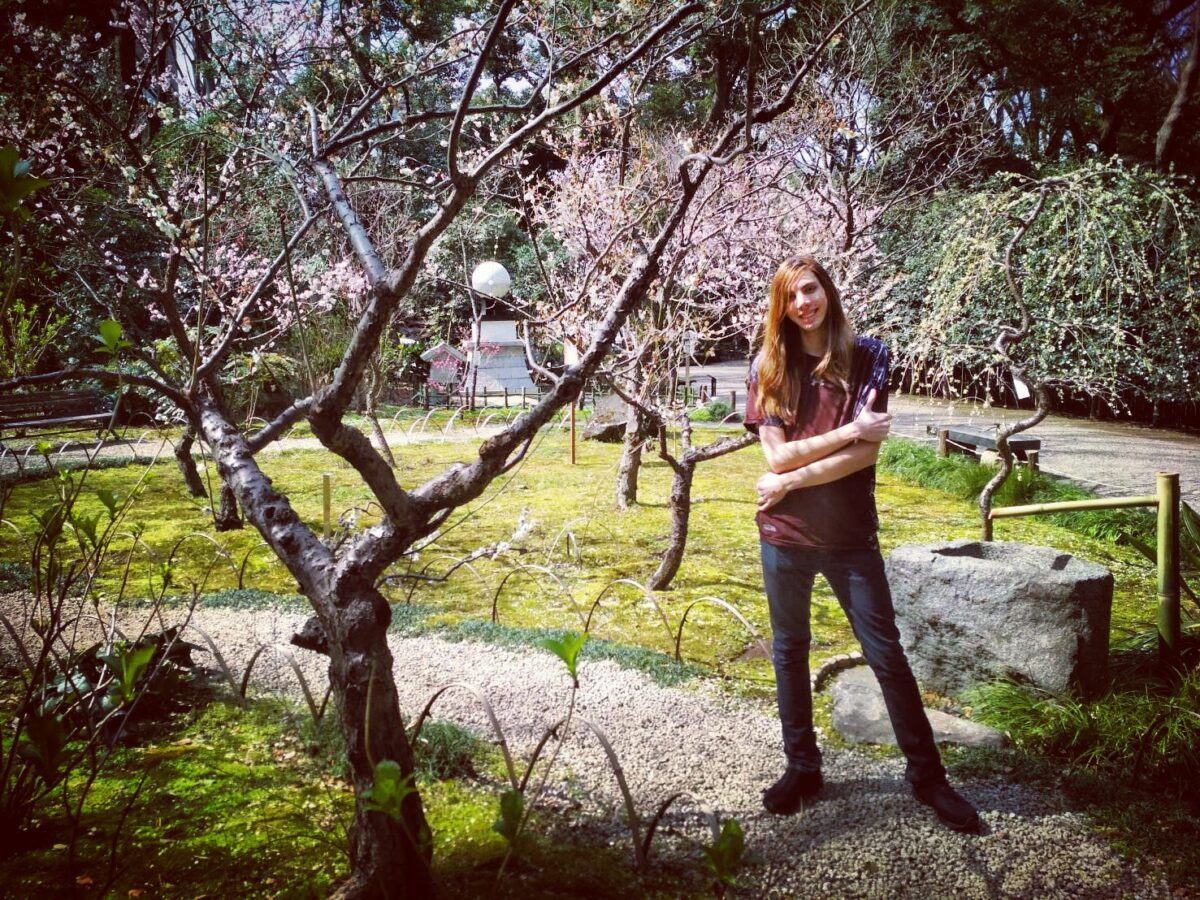 hanami sakura japan